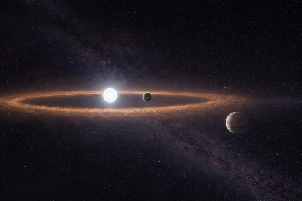 Simulations reveal two families of exocomets in the Beta Pictoris system