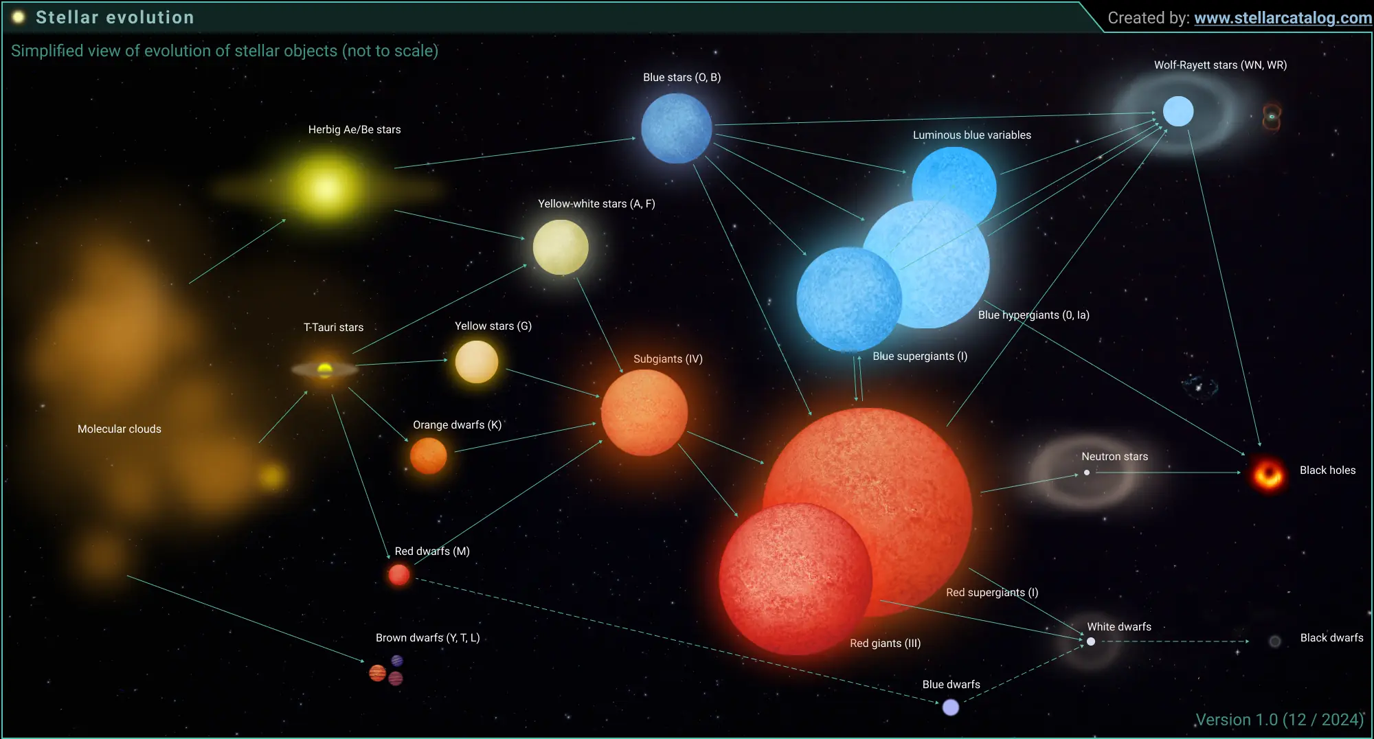 Stellar evolution visualisation