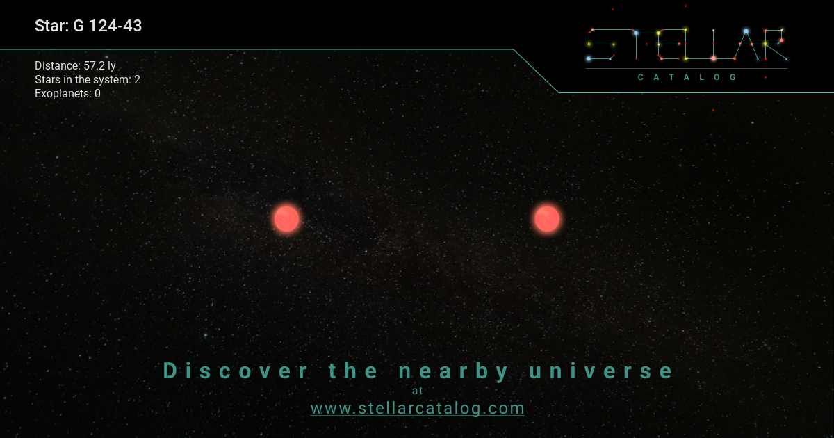 Despite being twins, M dwarf stars in wide binaries show surprising differences in magnetic activity