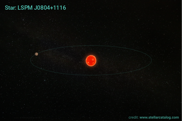 Cold sub-Neptune TOI-6981 b discovered orbiting near the water ice line