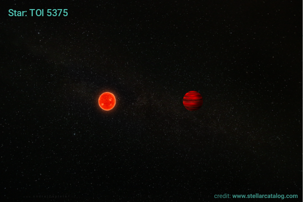Image: Aligned orbits found in double M dwarf system and trends across planets, brown dwarfs, and binaries